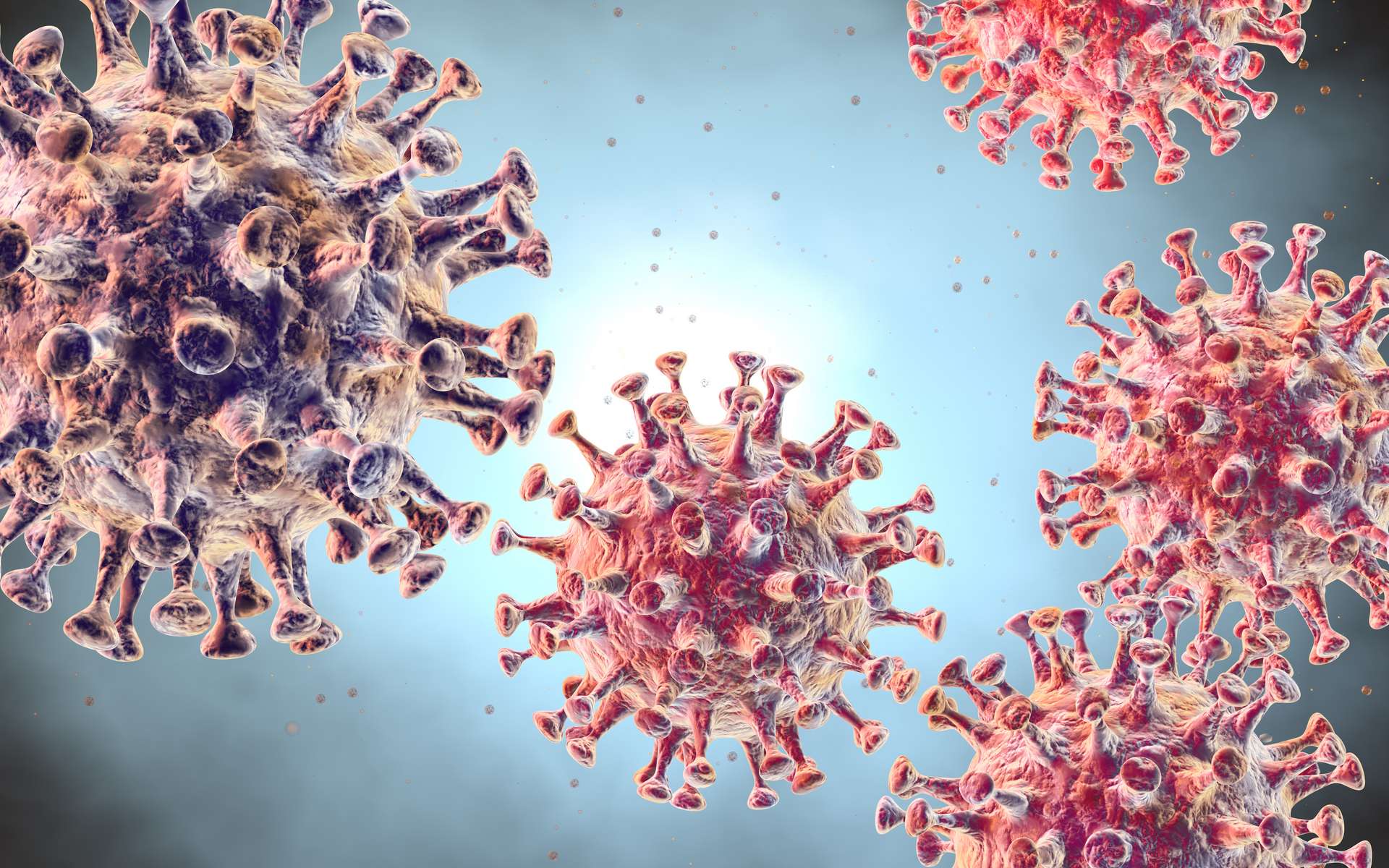 Coronavirus COVID-19 Coronavirus